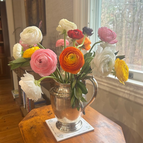 Meet your Posher, Katie - Picture 1 of 1